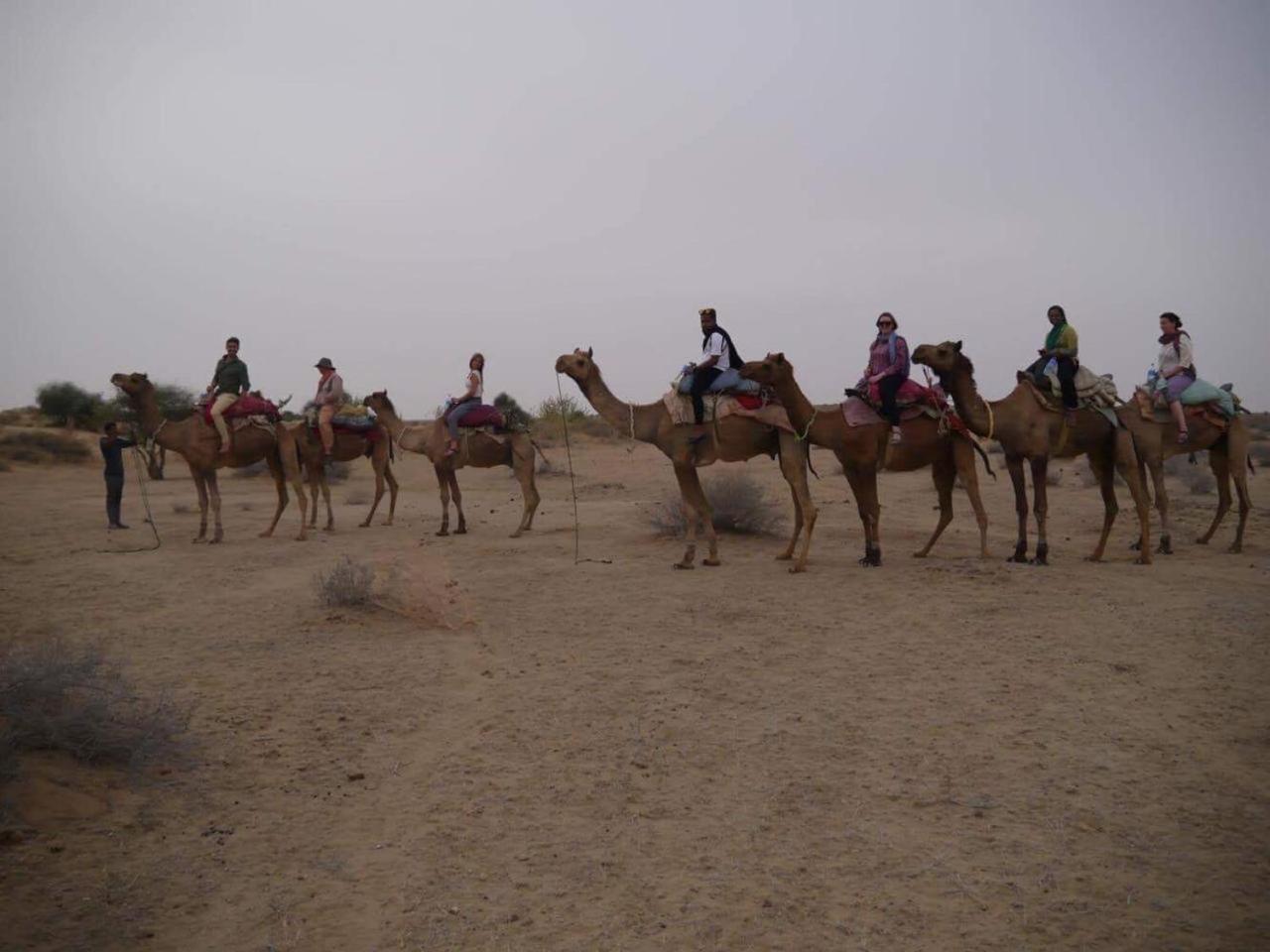 Sonal Desert Camp Jaisalmer Hotel Eksteriør billede